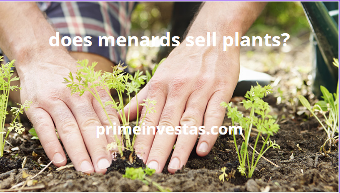 does menards sell plants?