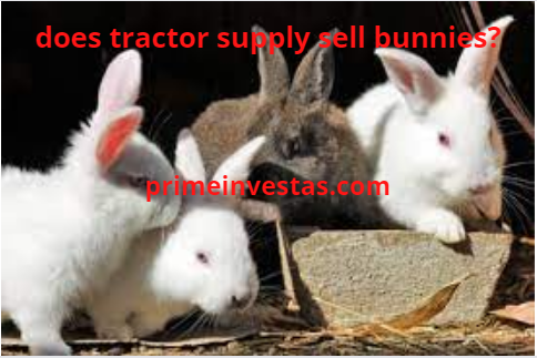 does tractor supply sell bunnies?