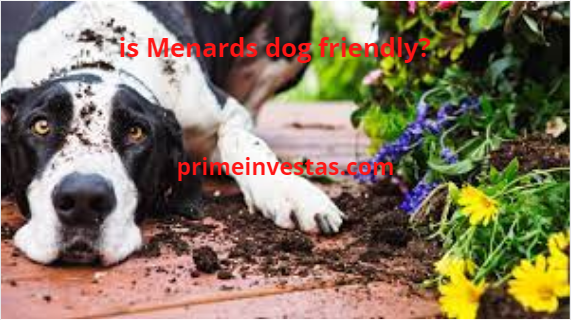 is Menards dog friendly?