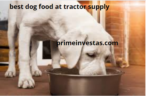 best dog food at tractor supply