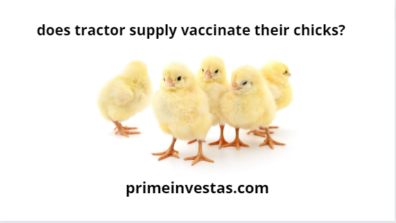 does tractor supply vaccinate their chicks?